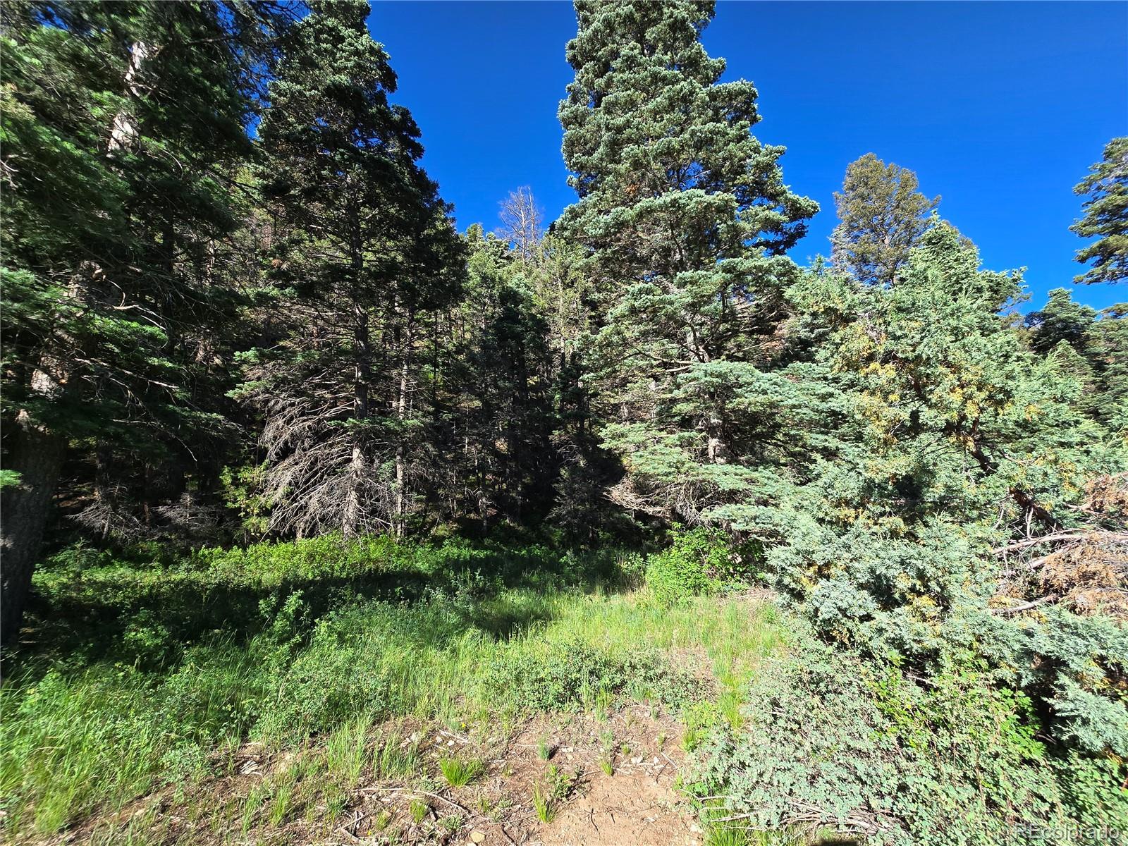 5941 Forbes Road San Luis, CO 81152 - Photo 6 of 23 Gallery Image 6