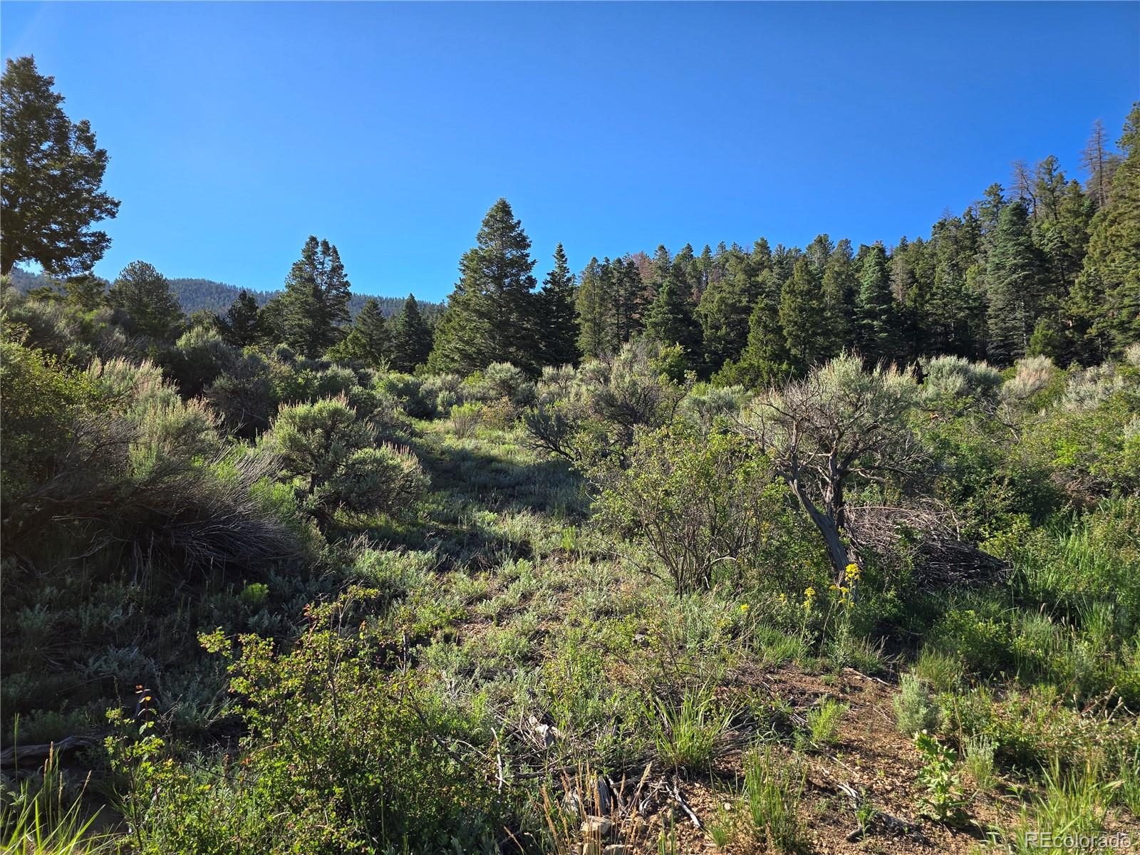 5941 Forbes Road San Luis, CO 81152 - Photo 8 of 23 Gallery Image 8