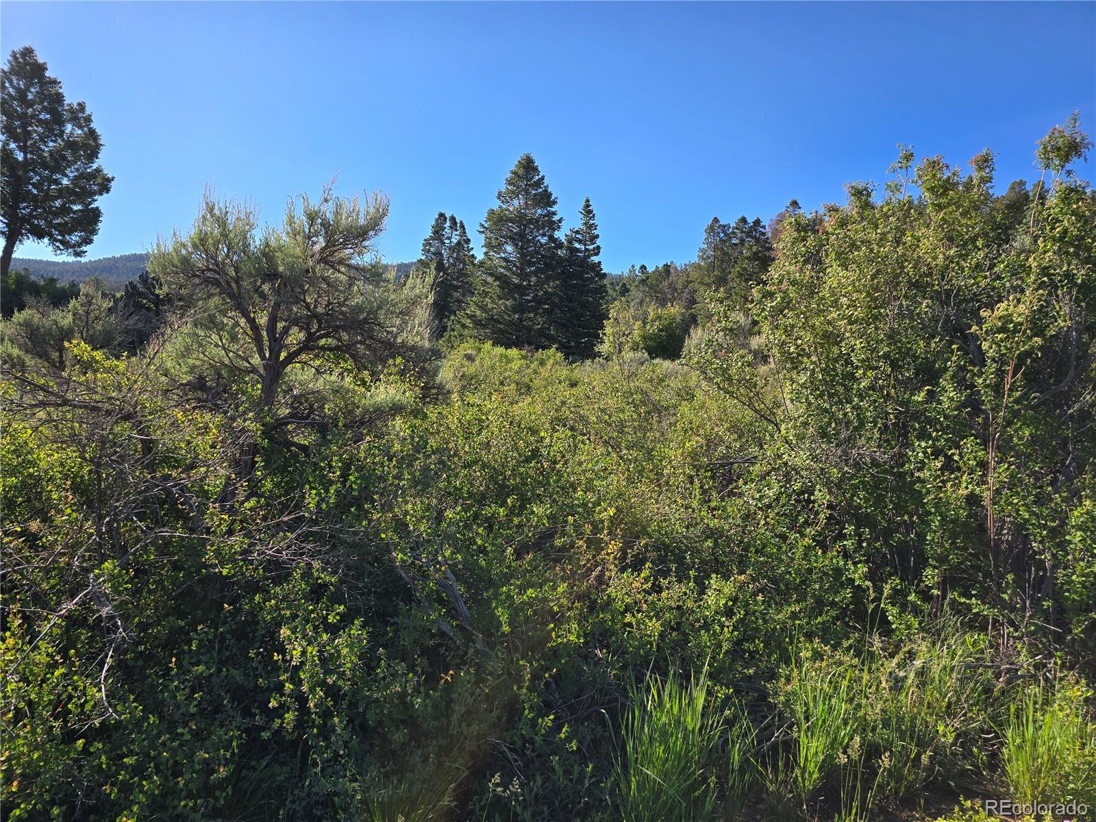 5941 Forbes Road San Luis, CO 81152 - Photo 10 of 23 Gallery Image 10