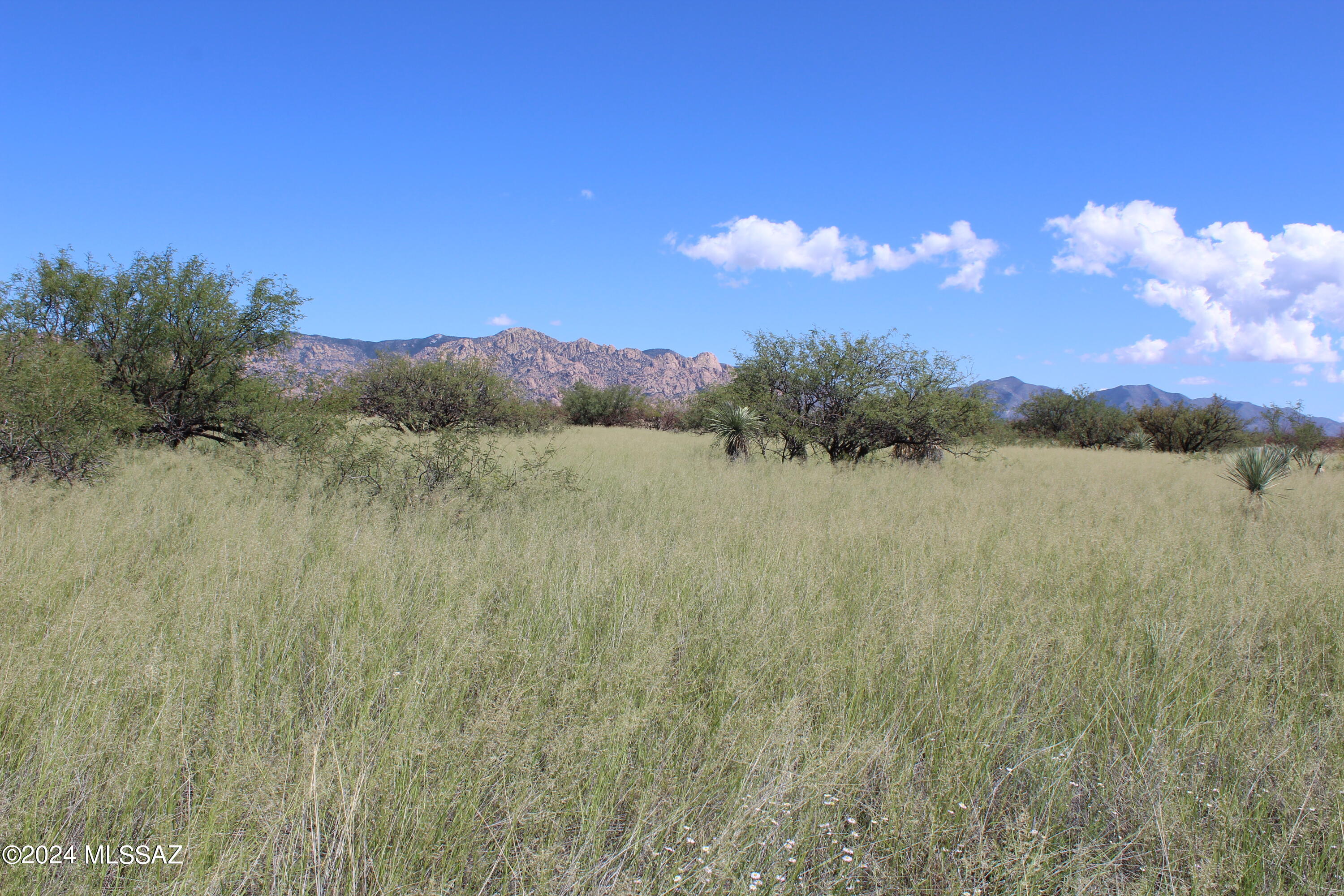 Tbd East Naiche Road, Unit 56 St. David, AZ 85630 - Photo 9 of 17