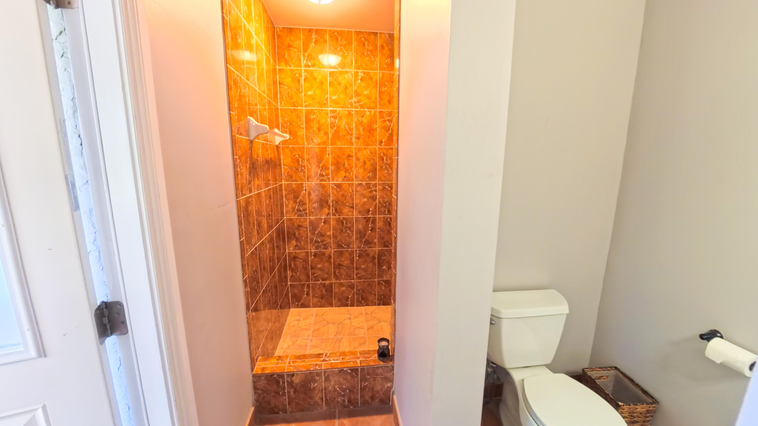 14225 43rd Road North Loxahatchee, FL 33470 - Photo 82 of 108 Bathroom Pool 1