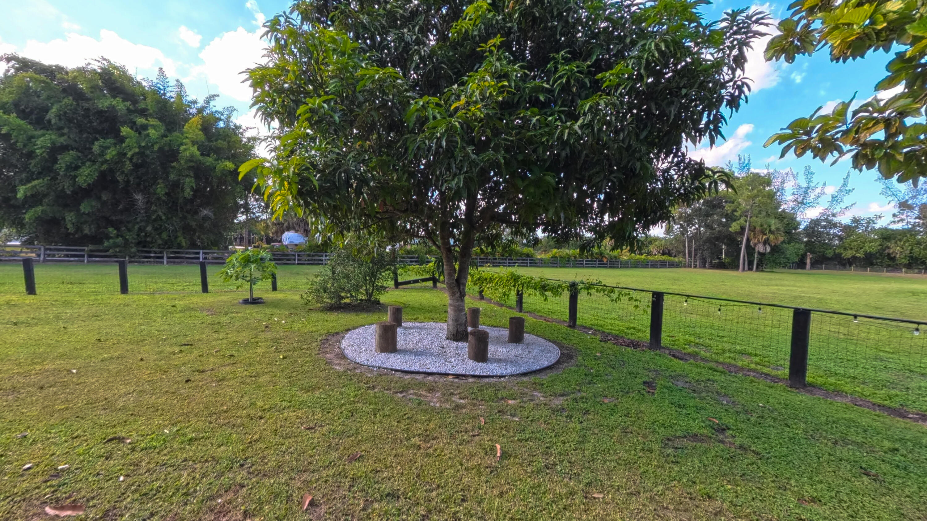 14225 43rd Road North Loxahatchee, FL 33470 - Photo 92 of 108 a view of a park with large trees