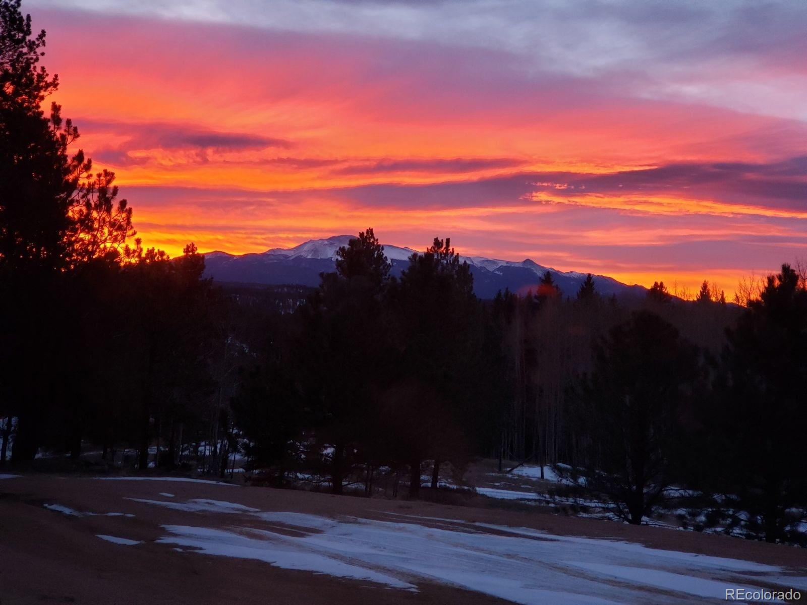 4710 Wildhorn Road Florissant, CO 80816 - Photo 41 of 41