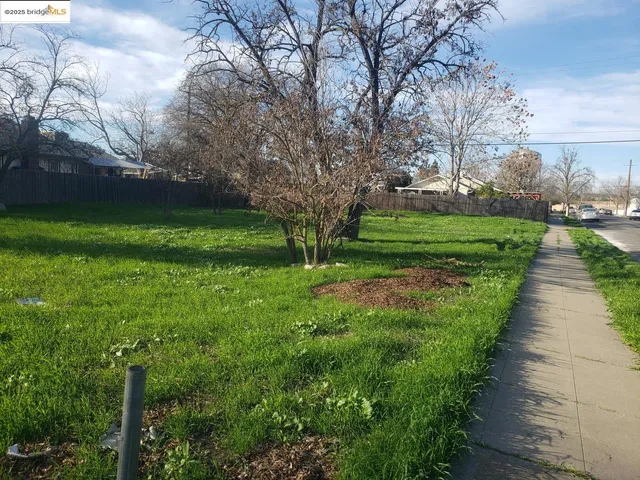 a view of a park with large trees