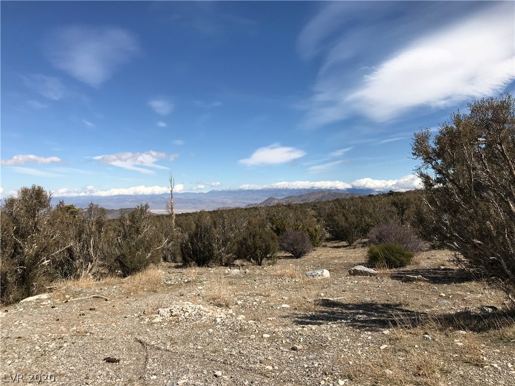 57 Cold Springs Road Cold Creek, NV 89124 - Photo 11 of 50 Gallery Image 11