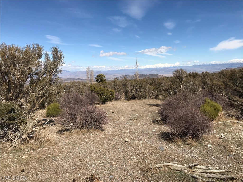 57 Cold Springs Road Cold Creek, NV 89124 - Photo 15 of 50 Gallery Image 15