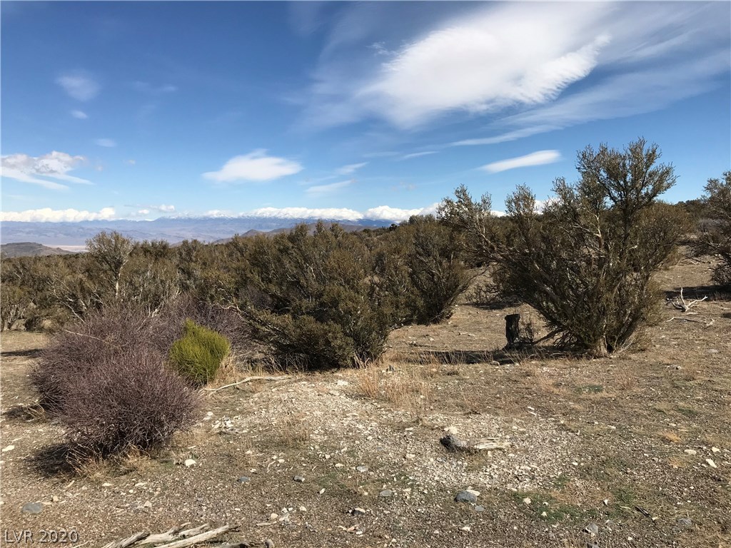 57 Cold Springs Road Cold Creek, NV 89124 - Photo 16 of 50 Gallery Image 16