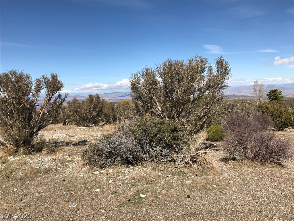 57 Cold Springs Road Cold Creek, NV 89124 - Photo 18 of 50 Gallery Image 18