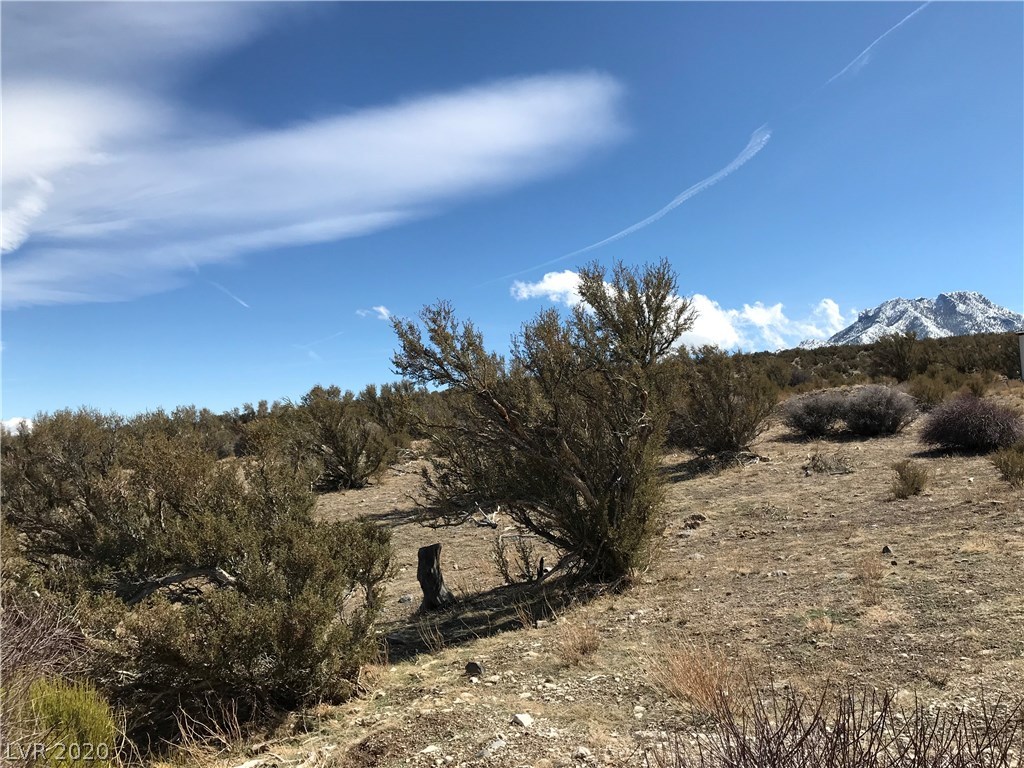 57 Cold Springs Road Cold Creek, NV 89124 - Photo 23 of 50 Gallery Image 23