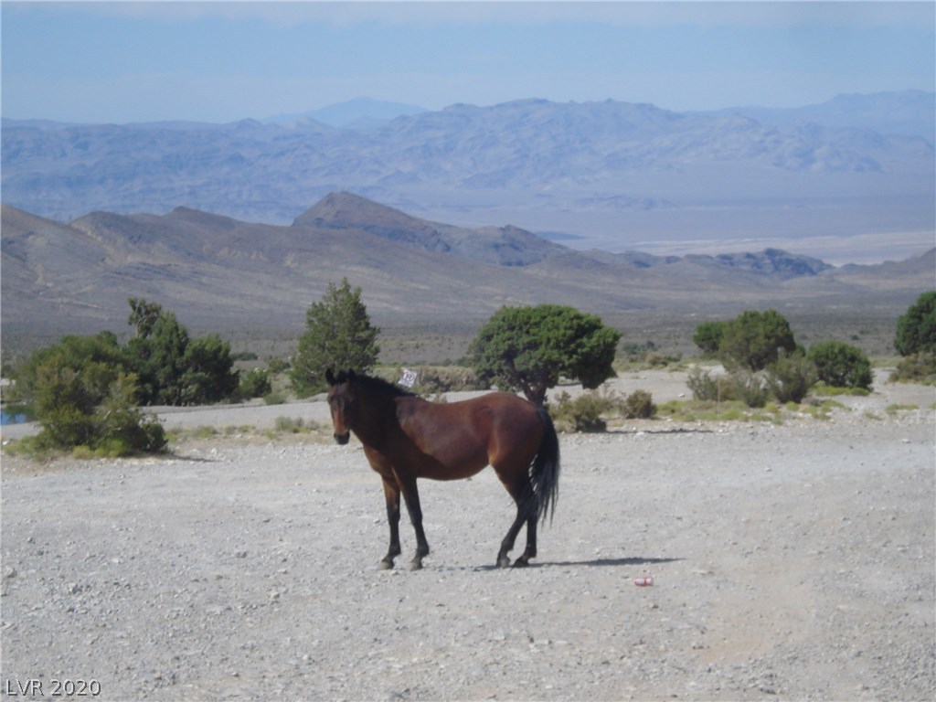 57 Cold Springs Road Cold Creek, NV 89124 - Photo 44 of 50 Gallery Image 44