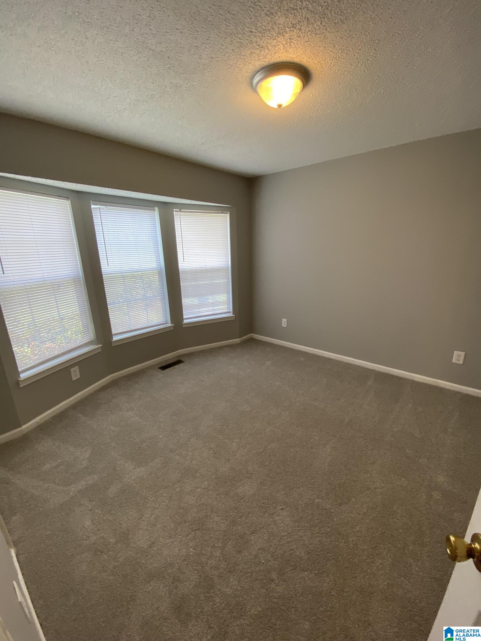 44 Lisa Lane Springville, AL 35146 - Photo 15 of 15