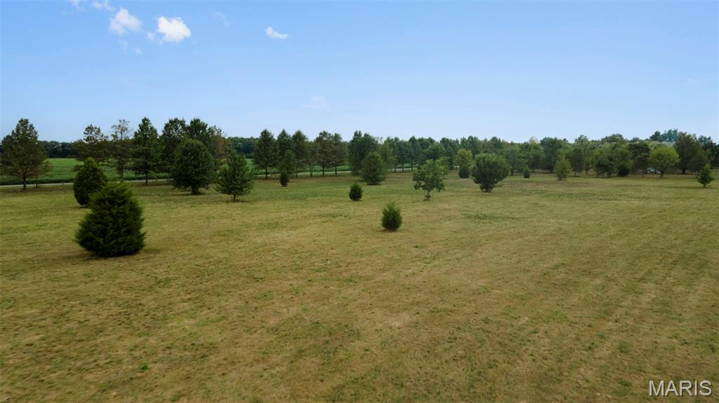 Lot 14 County Highway Benton, MO 63736 - Photo 14 of 22