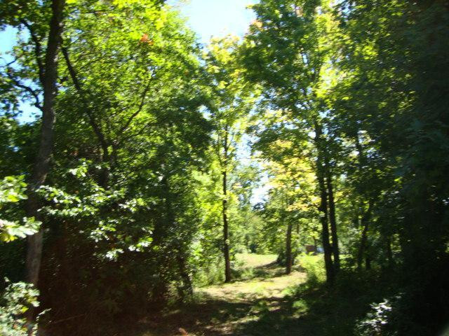 0 Lebanon Road Crittenden, KY 41030 - Photo 2 of 4