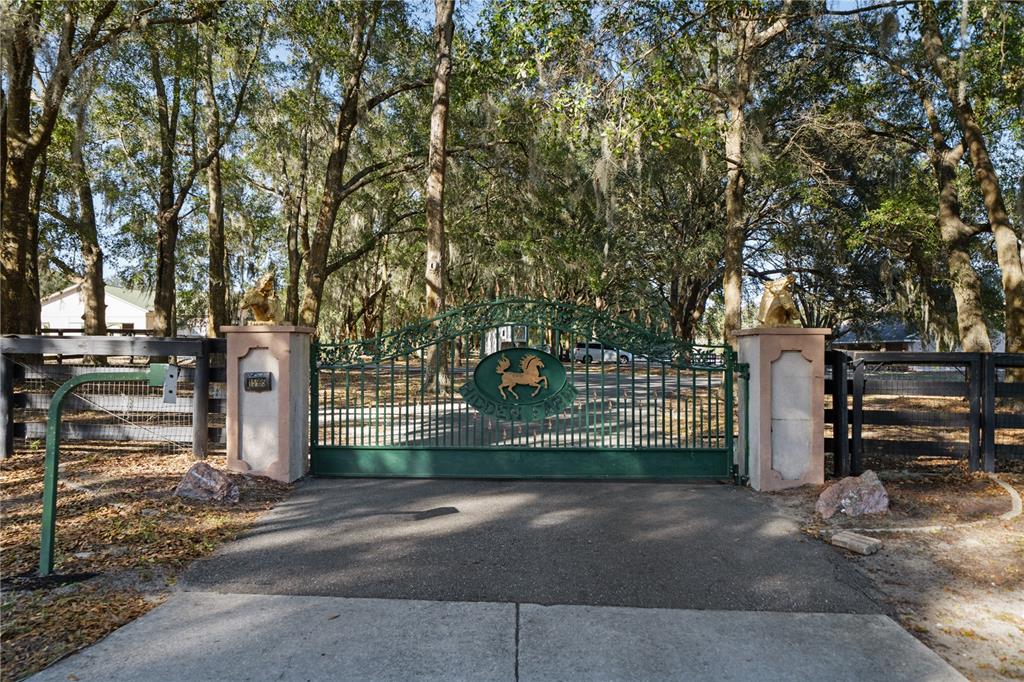 15995 Northwest 10th Circle Citra, FL 32113 - Photo 6 of 73