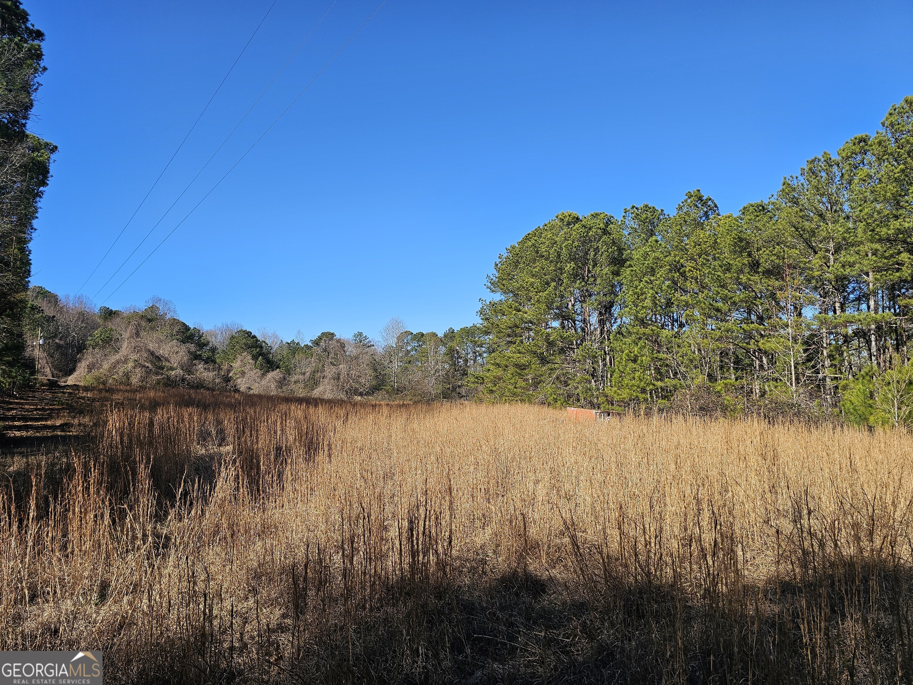 0 Daniel Road Villa Rica, GA 30180 - Photo 4 of 4 a view of lake