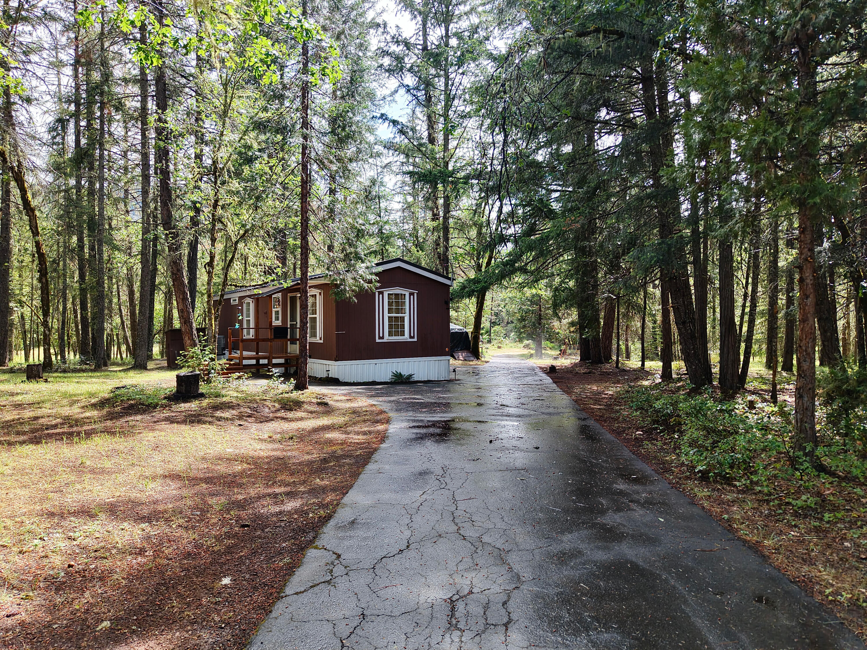 42256 Highway 62 Prospect, OR 97536 - Photo 1 of 48 a house with trees in front of it
