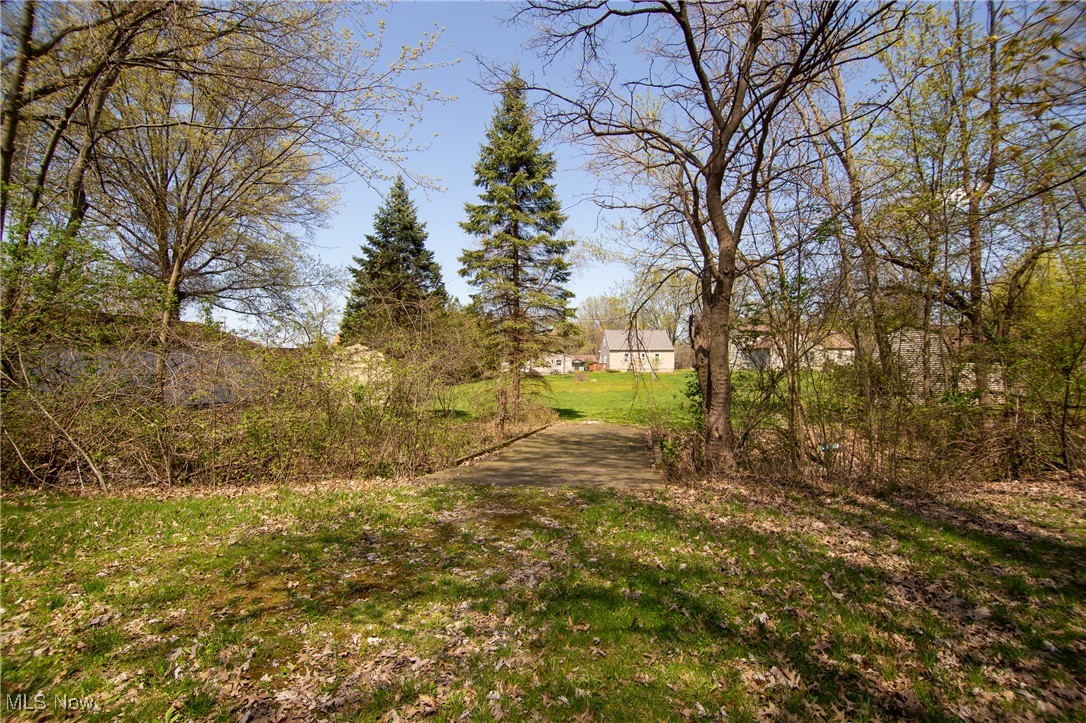 32575 Bagley Road North Ridgeville, OH 44039 - Photo 8 of 30 View of back yard