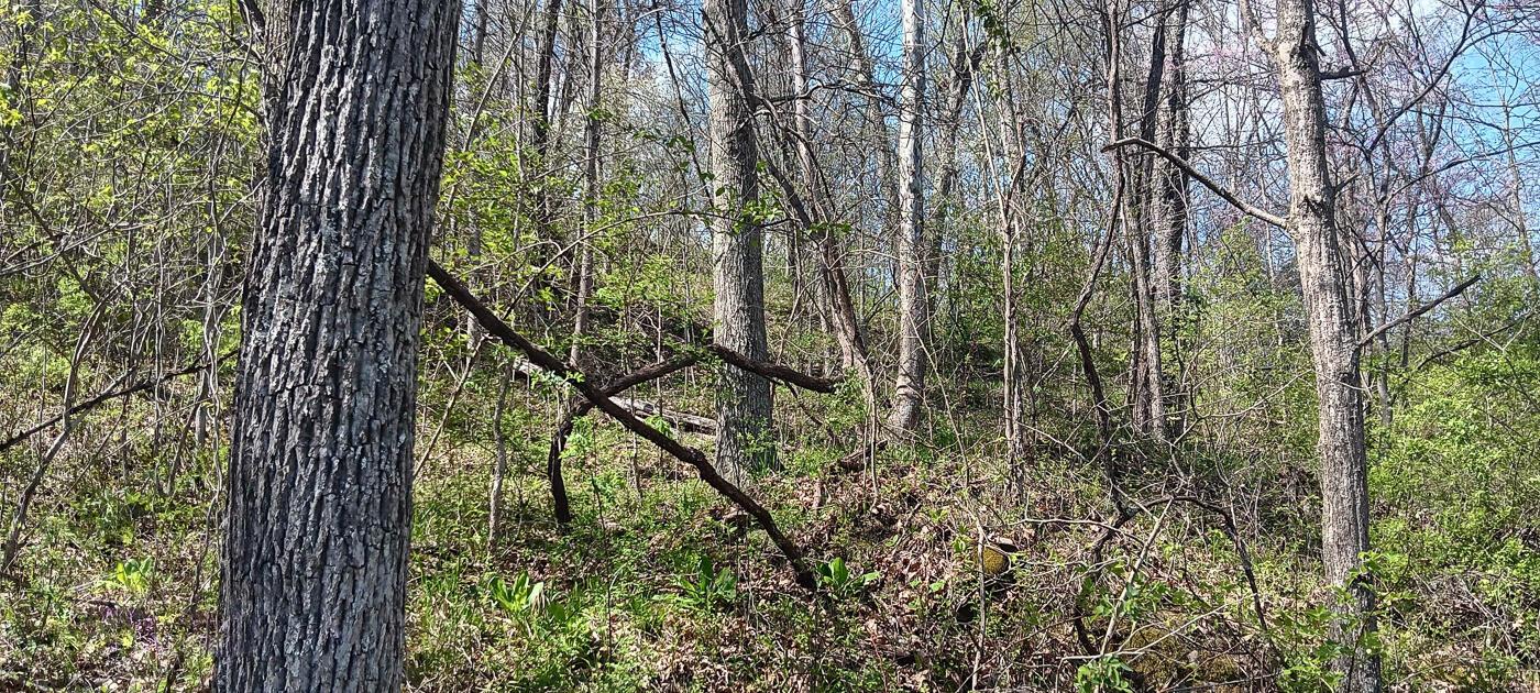 0 Keystone Furnace Road, Unit KEYSTONE ESCAPE) Jackson, OH 45640 - Photo 26 of 61 CT-26