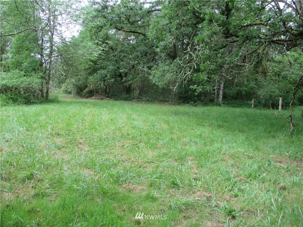 7415 Scatterview Lane Southwest Rochester, WA 98579 - Photo 5 of 8