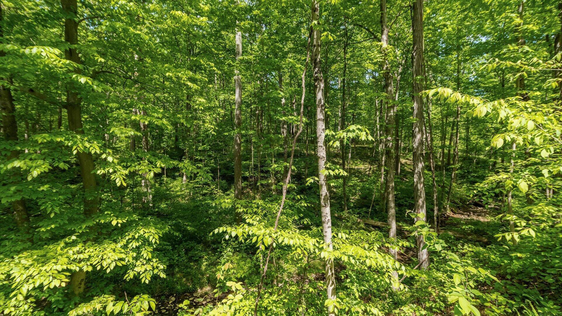 50583 Roy Miles Road Sarahsville, OH 43779 - Photo 22 of 27 19-zj 50583 Roy Miles Rd080a