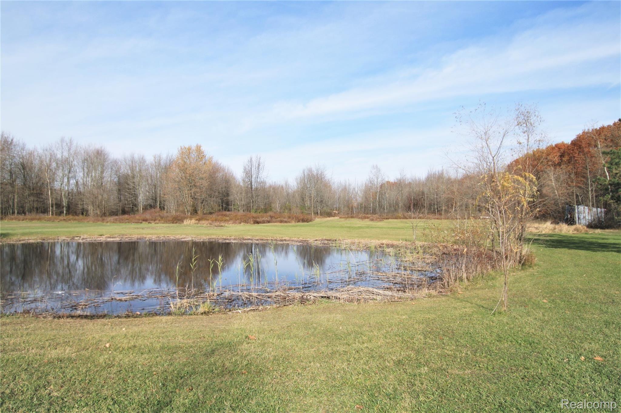 11260 Rose Road Emmett, MI 48022 - Photo 9 of 39 IMG_4589.JPG