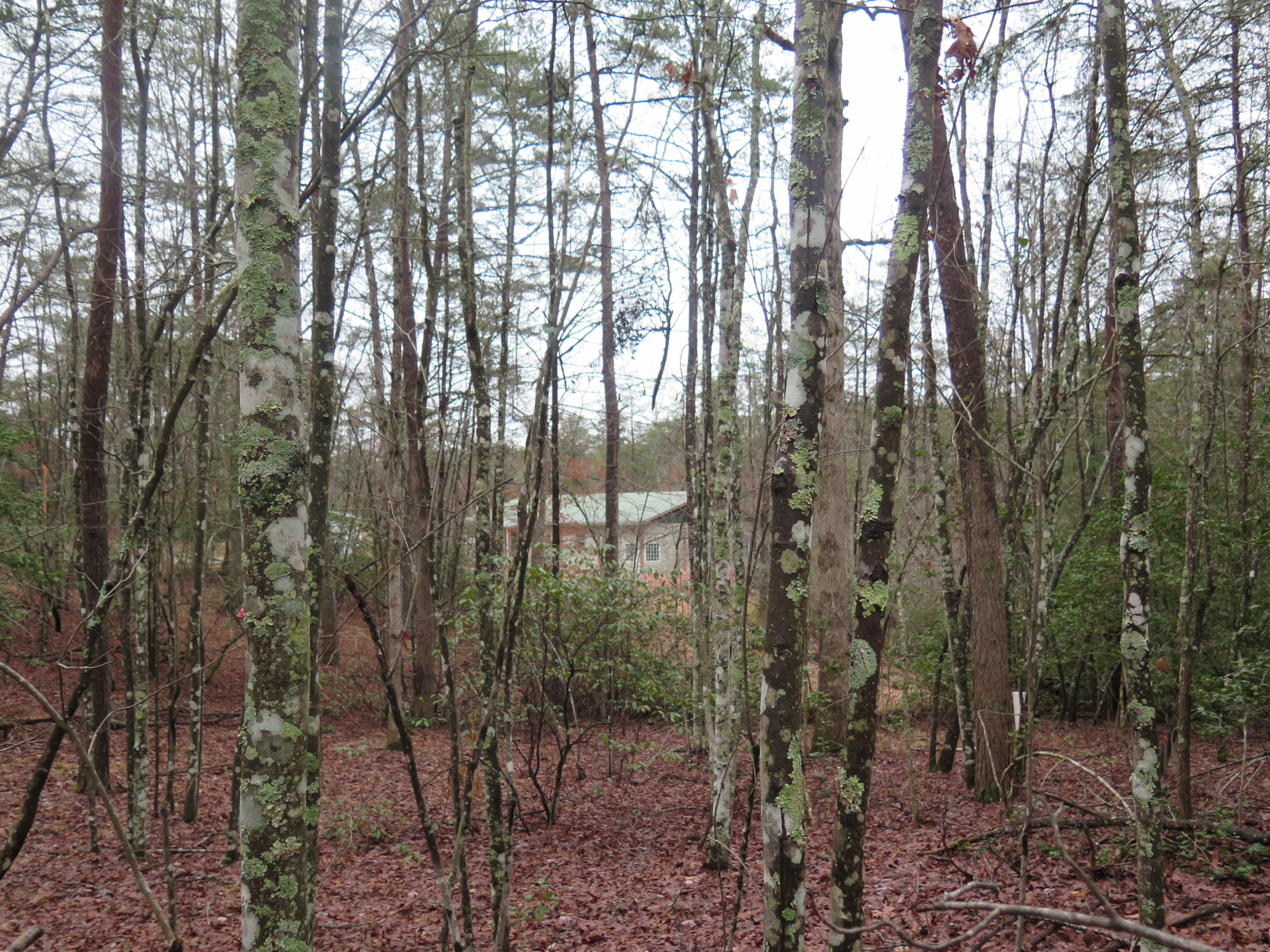 106 Nash Road Jamestown, TN 38556 - Photo 15 of 29 IMG_1430