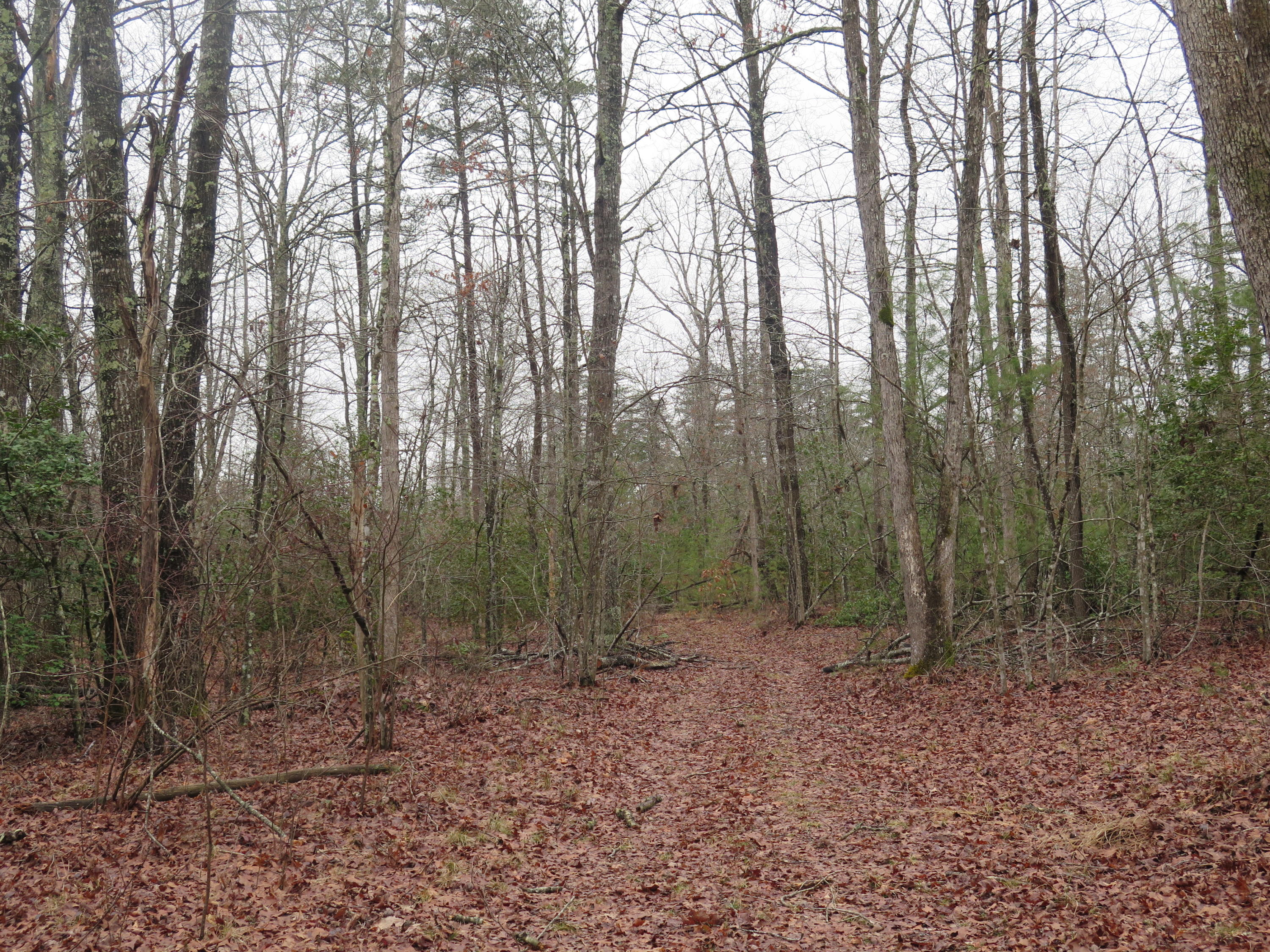 106 Nash Road Jamestown, TN 38556 - Photo 18 of 29 IMG_1447