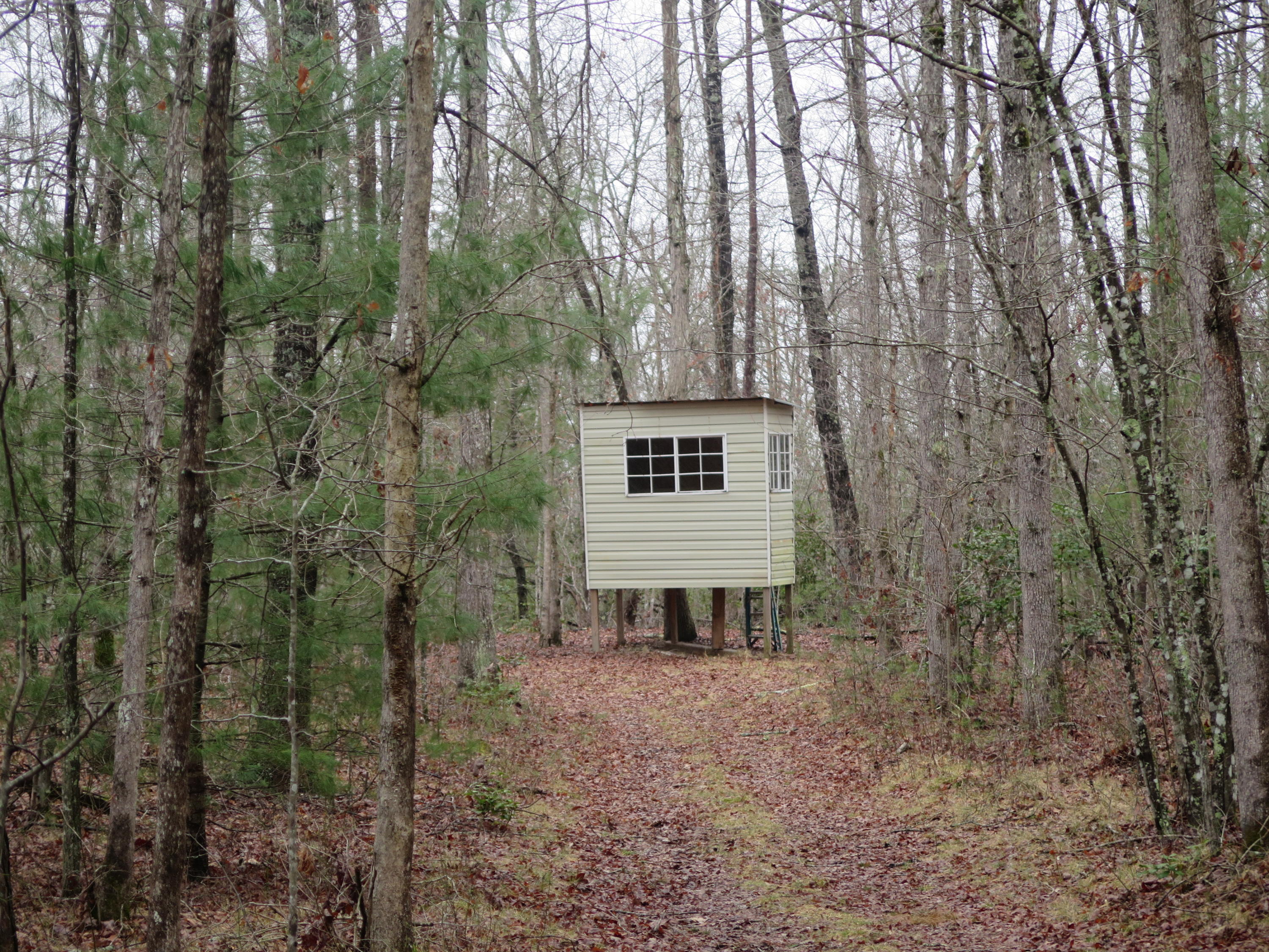 106 Nash Road Jamestown, TN 38556 - Photo 22 of 29 IMG_1445