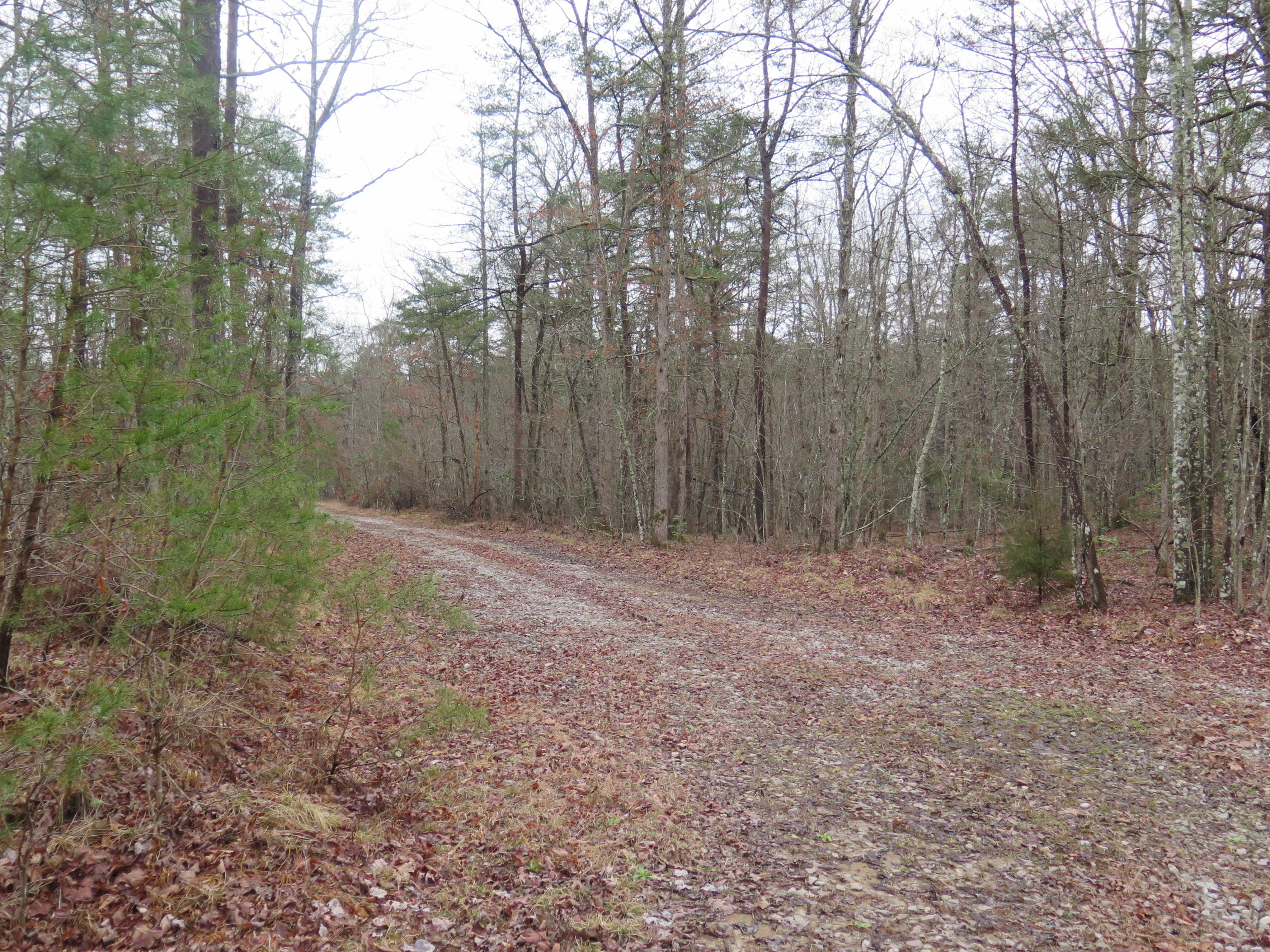 106 Nash Road Jamestown, TN 38556 - Photo 26 of 29 IMG_1454
