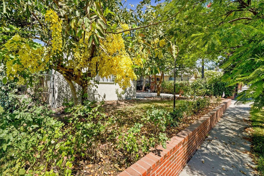 14335 Aztec Street Sylmar, CA 91342 - Photo 4 of 48 a view of a yard with plants and large trees