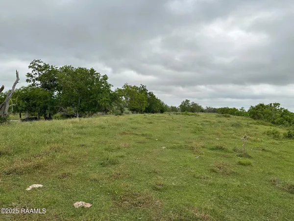 $735,000 | 0 Boyance Road, Erath, LA 70533