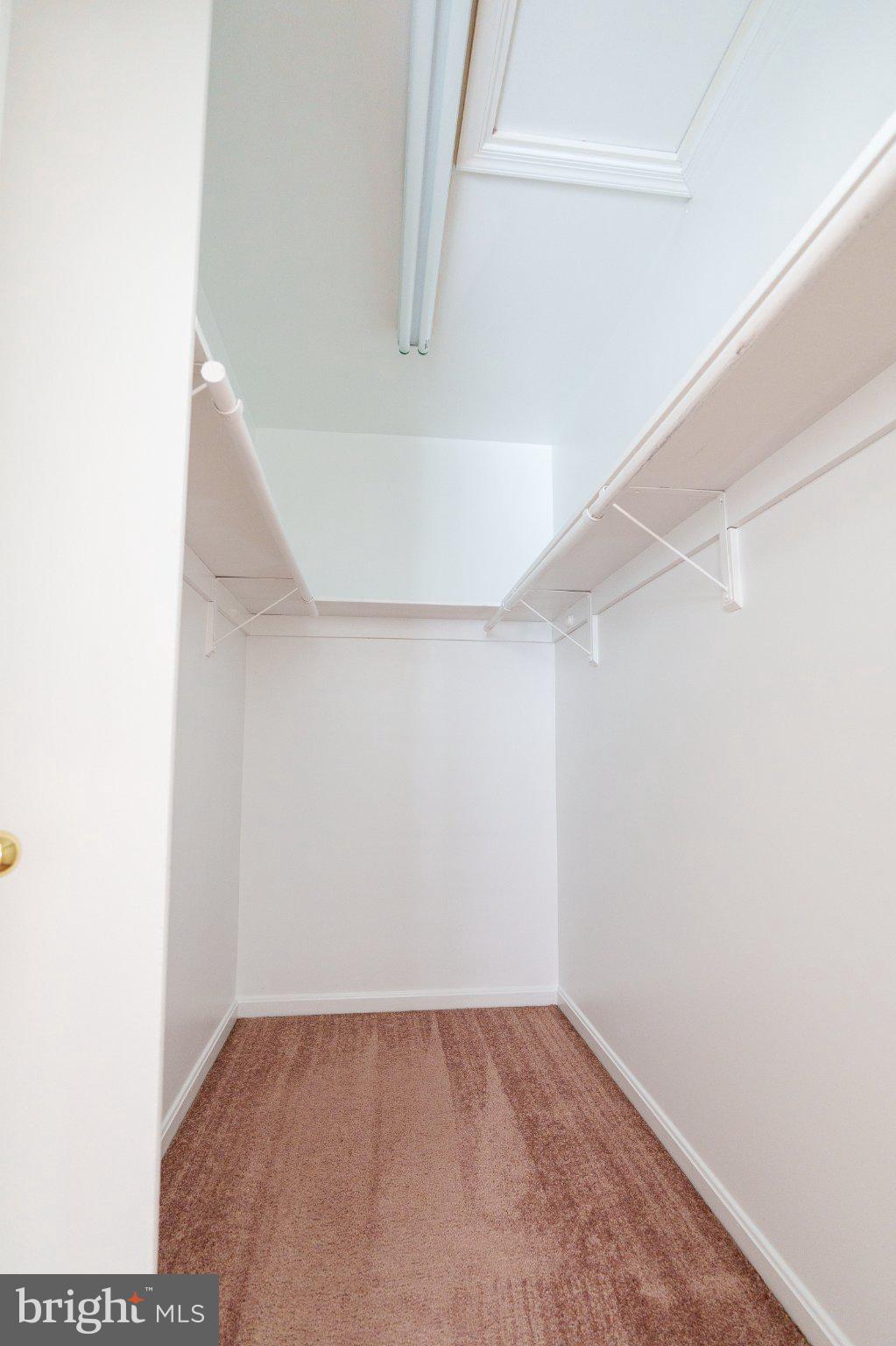 829 Shore Drive Edgewater, MD 21037 - Photo 22 of 29 Spacious, blank canvas closet awaits.