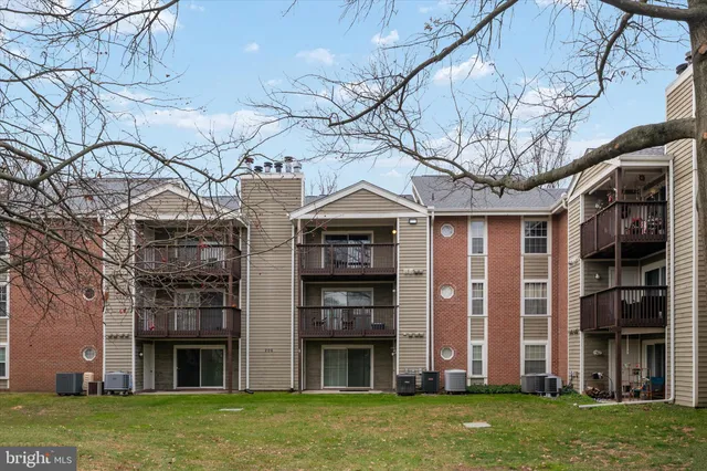 a view of a big room with brick walls and a large tree