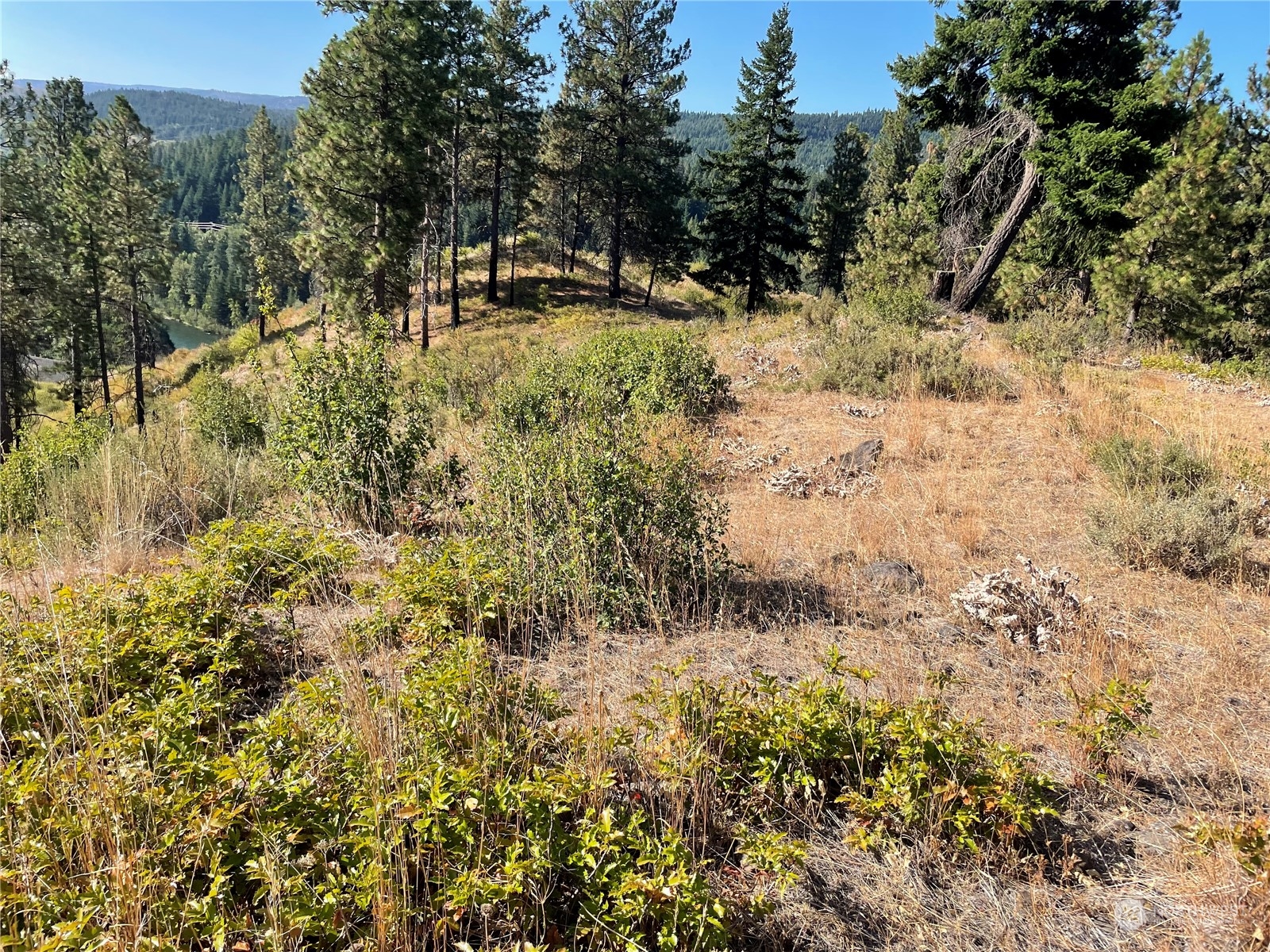 0 Hart Road Cle Elum, WA 98922 - Photo 2 of 7 Gallery Image 2