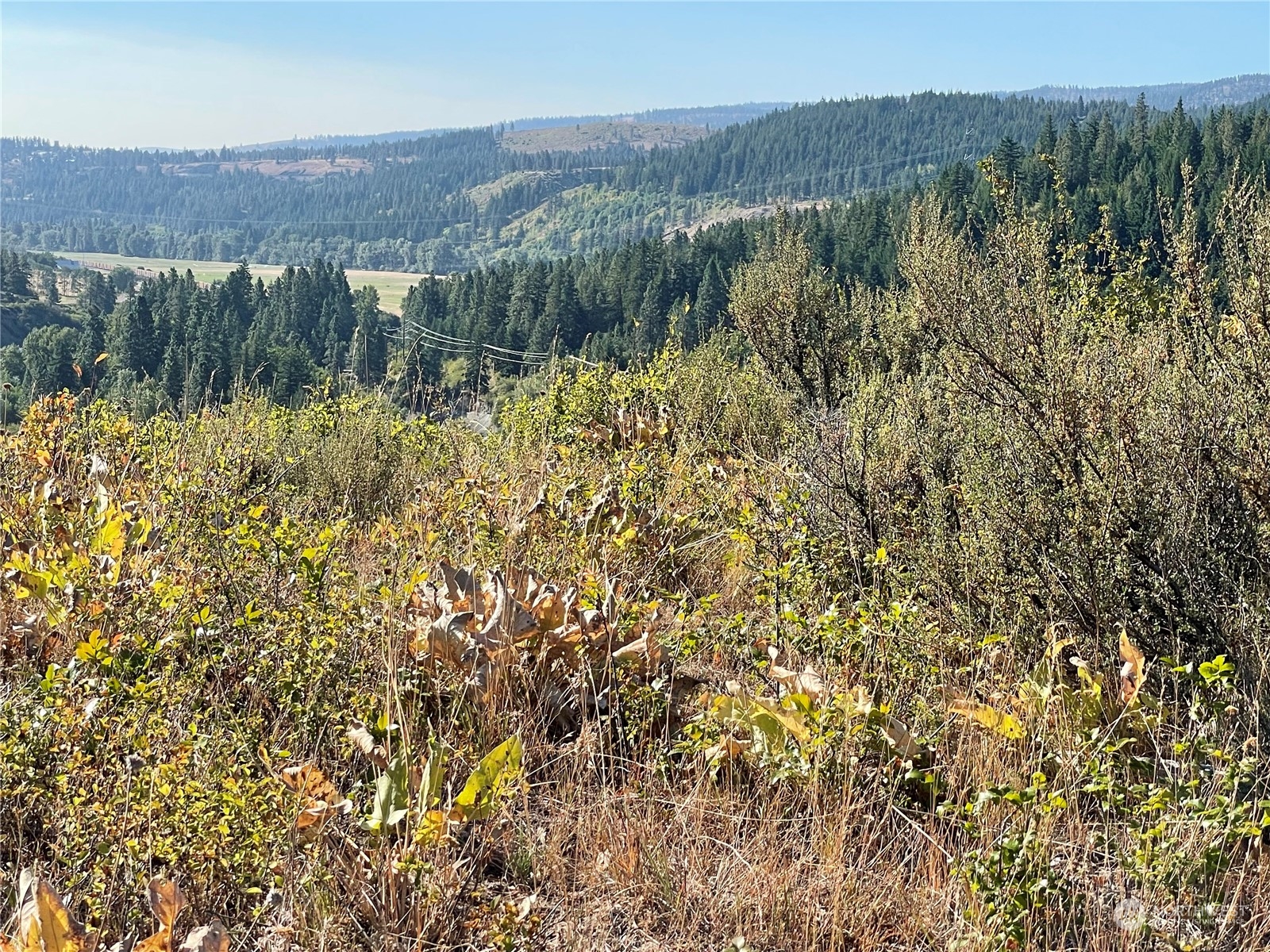 0 Hart Road Cle Elum, WA 98922 - Photo 4 of 7 Gallery Image 4