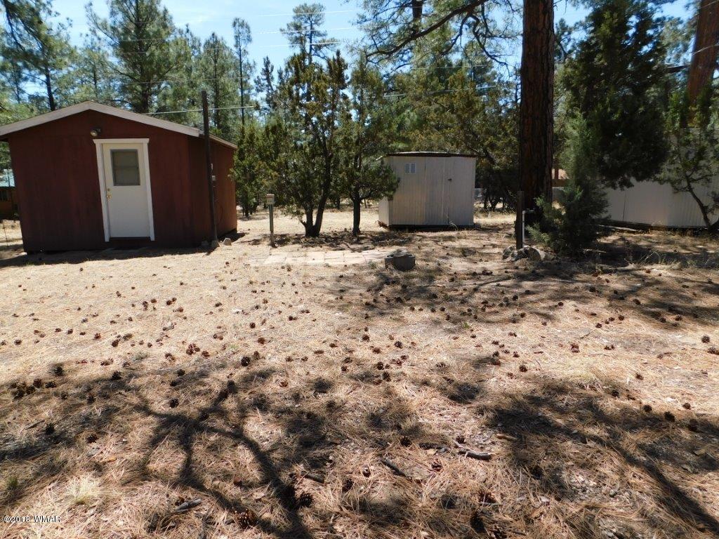 2021 Lumber Valley Road Overgaard, AZ 85933 - Photo 23 of 39 a view of a backyard with a tree