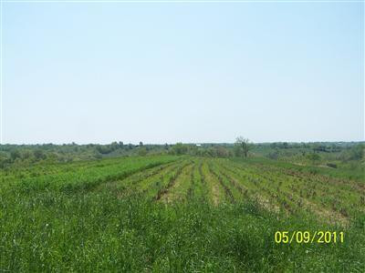 14 Baton Rouge Road Williamstown, KY 41097 - Photo 1 of 5