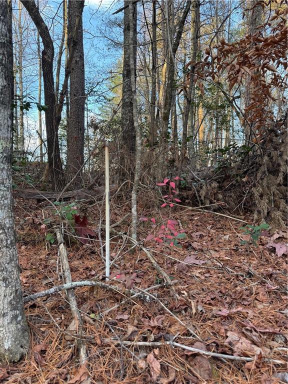 0 Meadowbrook Lane Ellijay, GA 30540 - Photo 3 of 4