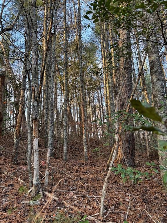 0 Meadowbrook Lane Ellijay, GA 30540 - Photo 4 of 4