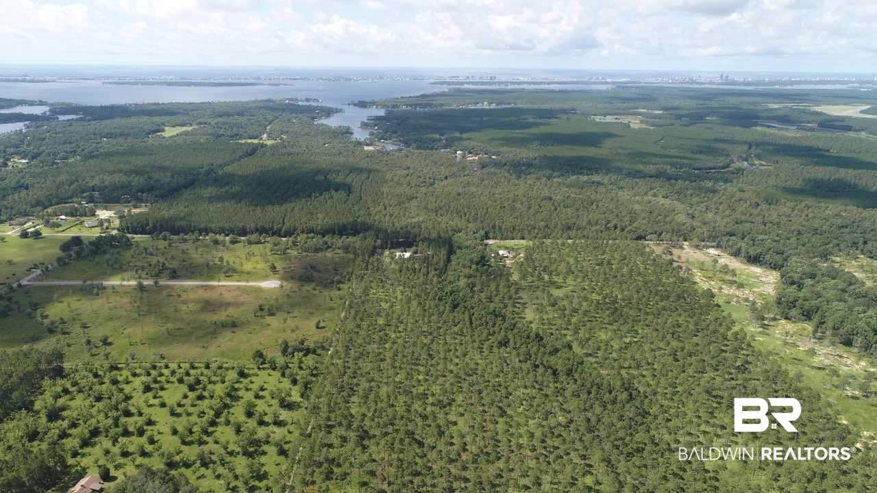 0 Leiterman Road Elberta, AL 36530 - Photo 2 of 13