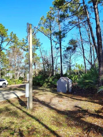 a view of a street with a tree