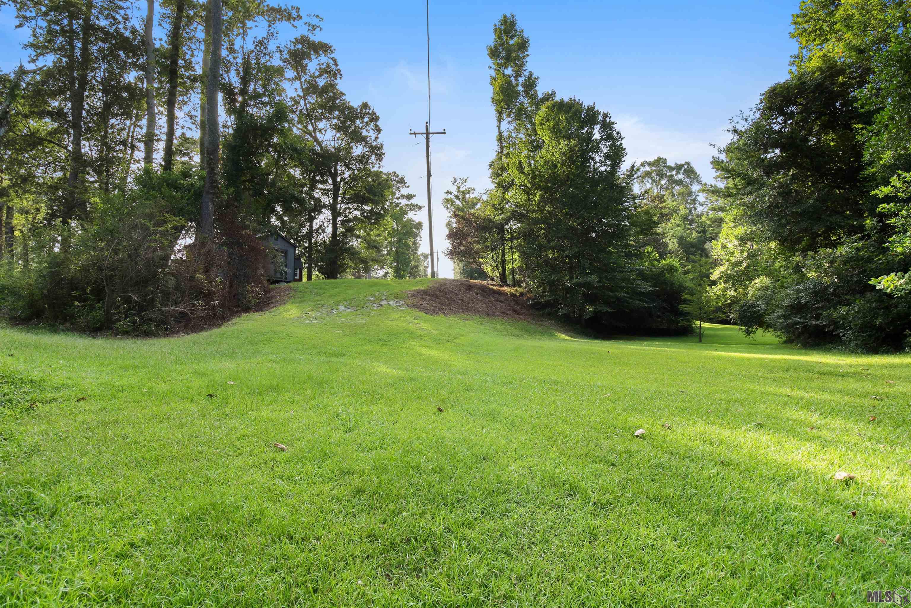 35084 Bend Road Denham Springs, LA 70706 - Photo 11 of 24