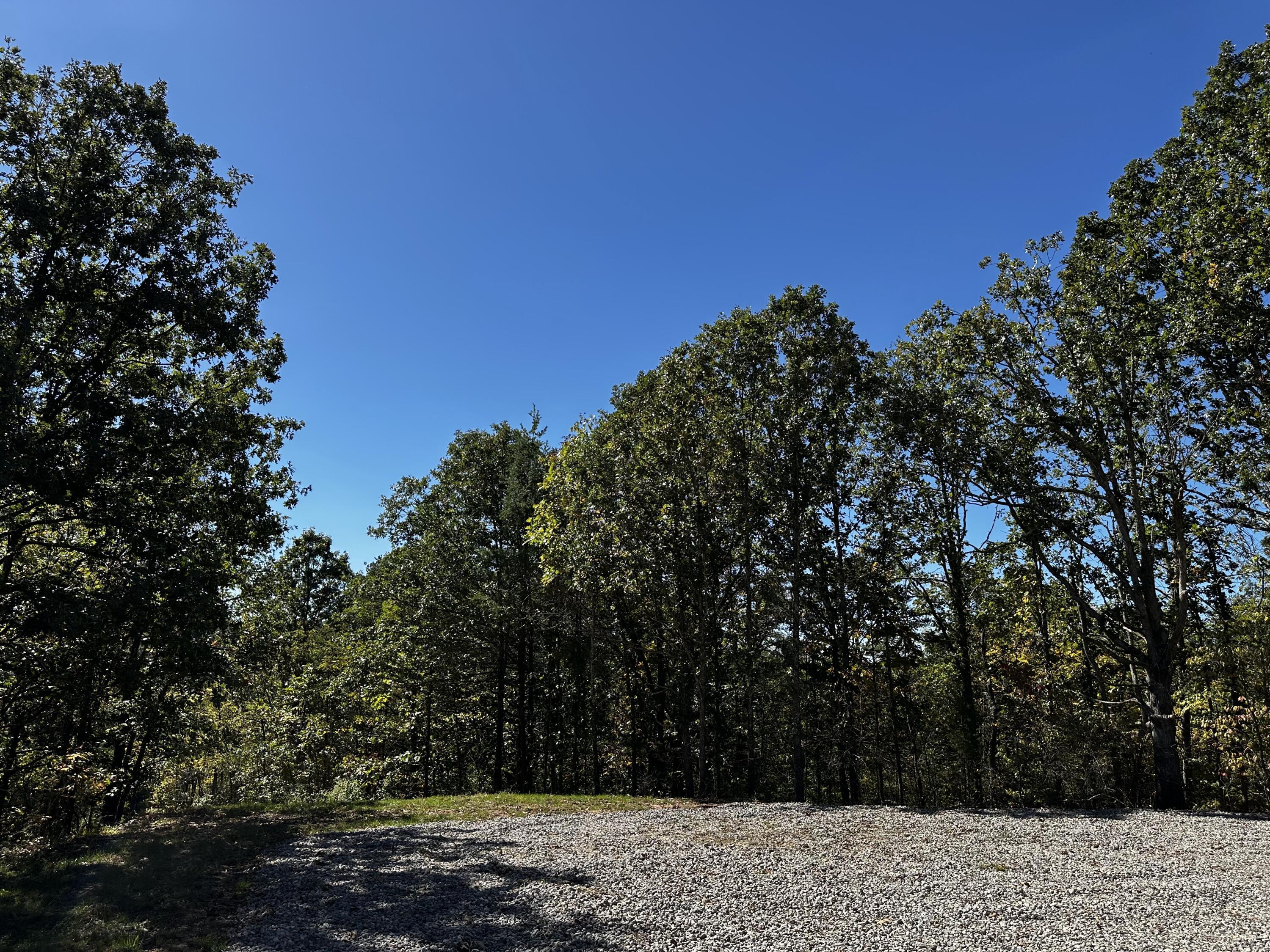 865 Hull Road, Unit TRACT 13 WOODS WAYNE FOREST) Patriot, OH 45658 - Photo 4 of 57 4