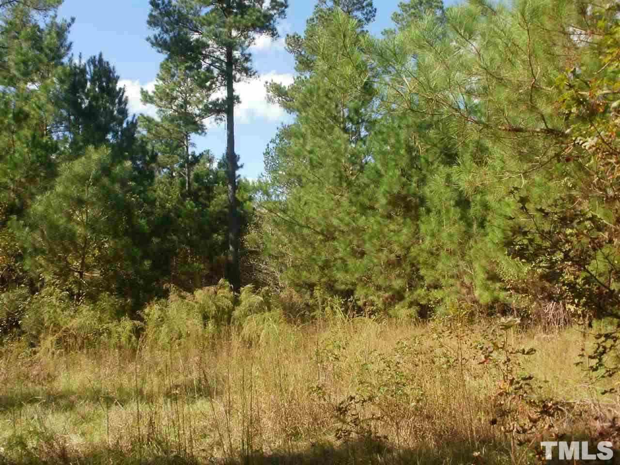 555 Brock Road Bunnlevel, NC 28323 - Photo 2 of 2 Gallery Image 2