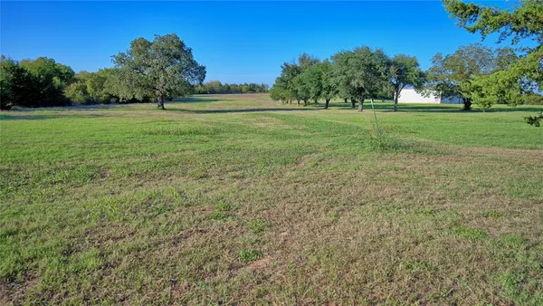 a big yard with lots of green space