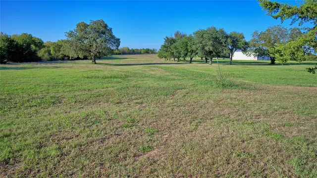 a big yard with lots of green space