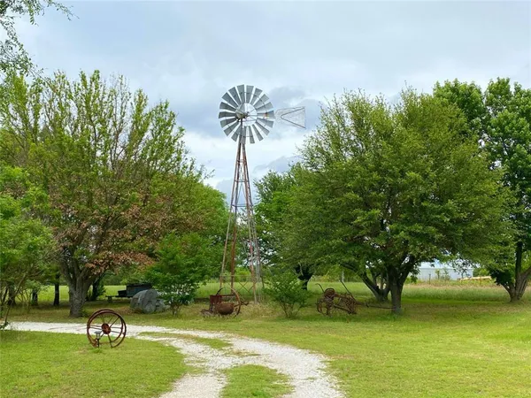 a view of a garden