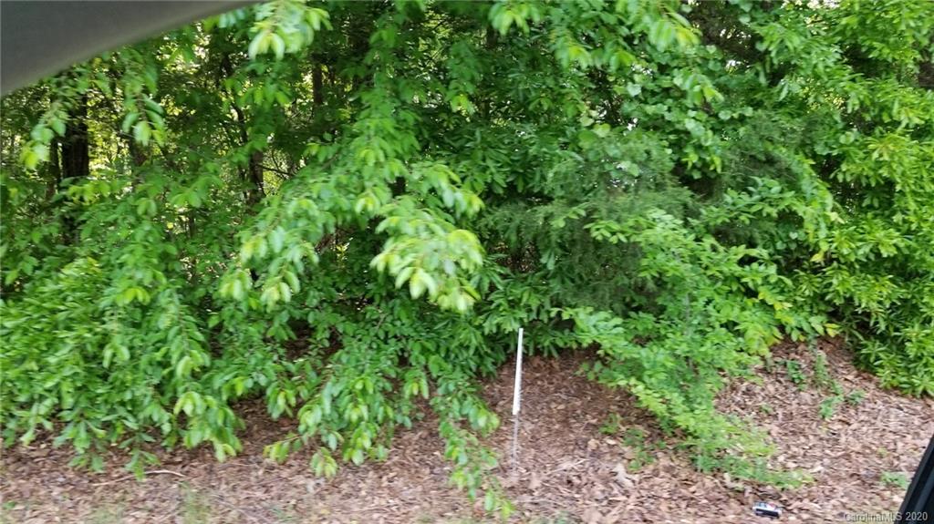 1 Possum Hollow Road Indian Land, SC 29707 - Photo 2 of 3 Gallery Image 2