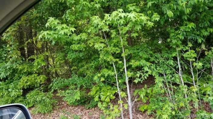 1 Possum Hollow Road Indian Land, SC 29707 - Photo 3 of 3 Gallery Image 3