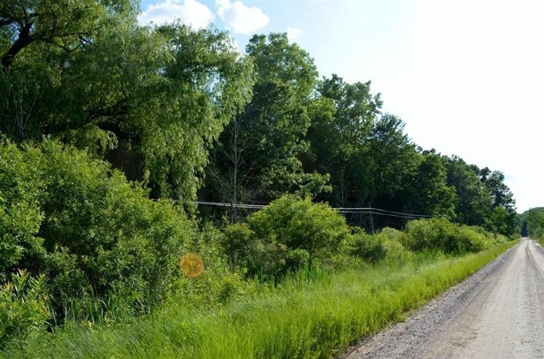 0 West Wolff Road Manchester, MI 48158 - Photo 9 of 10 Photo 9